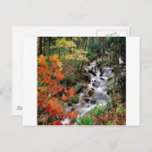 カロライナ川 ポストカード (正面/裏面)