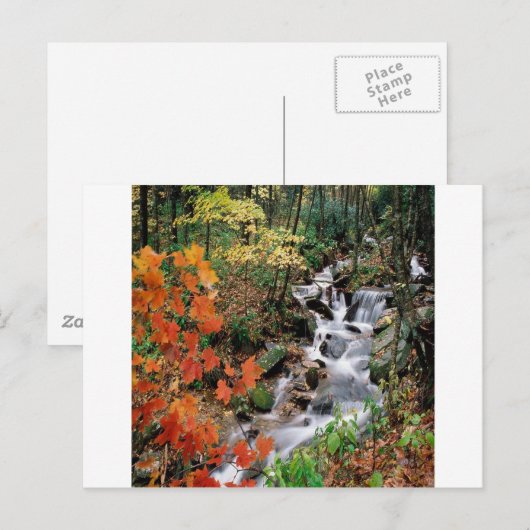 カロライナ川 ポストカード (正面/裏面)