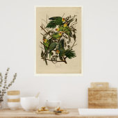 カロライナ州オウム ポスター (キッチン)