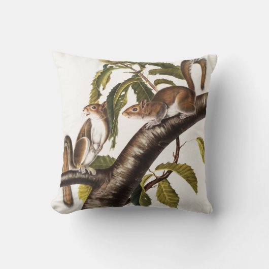 カロライナ灰色リス(Sciurus Carolinensis) クッション (正面)