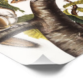 カロライナ灰色リス(Sciurus Carolinensis) フォトプリント (角)