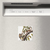 カロライナ灰色リス(Sciurus Carolinensis) マグネット (インサイチュ (食洗機))