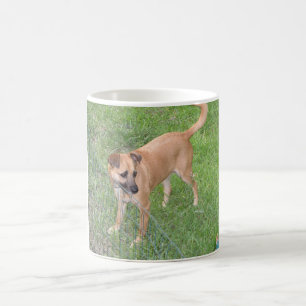 カロライナ犬完全な2.png コーヒーマグカップ