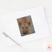 カロライナ犬.png 楕円形シール (封筒)