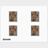 カロライナ犬.png 楕円形シール (シート)