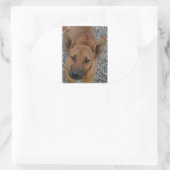 カロライナ犬.png 楕円形シール (バッグ)