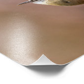 カロライナ・ウォレン・バード フォトプリント            (角)