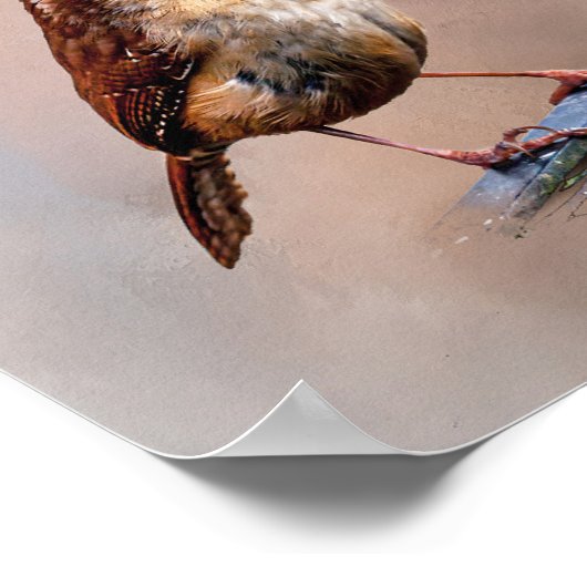 カロライナ・ウォレン ポスター (角)