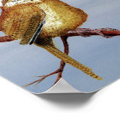 カロライナ・ウォレン ポスター (角)