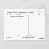 カロライナ・ウォレン ポストカード (裏面)