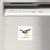 カロライナ・ウォレン マグネット (インサイチュ (食洗機))