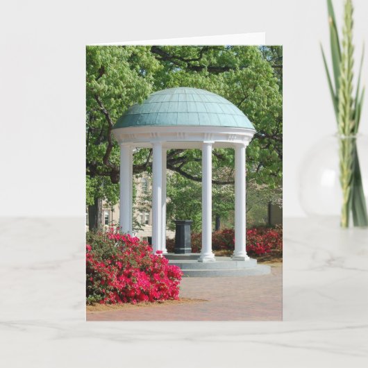 カロライナ カード (正面)