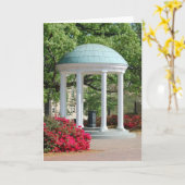 カロライナ カード (黄色い花)