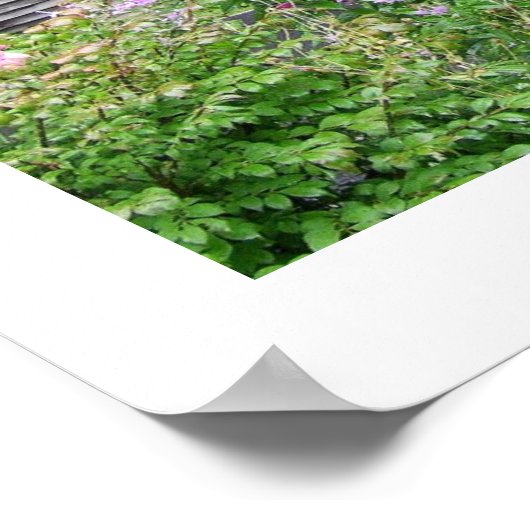 カロライナ・キャビン ポスター (角)