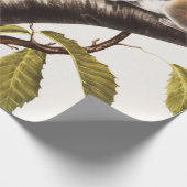 カロライナ・グレイ・リス(Sciurus Carolinensis) ラッピングペーパー (角)