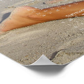 カロライナ・コーストの美女たち: 2013 カレンダー ポスター CP