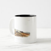 カロライナ・シュリーハウスマウスガールボーイルーム ツートーンマグカップ (正面左)