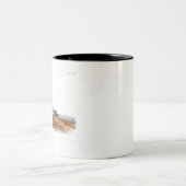 カロライナ・シュリーハウスマウスガールボーイルーム ツートーンマグカップ (中央)