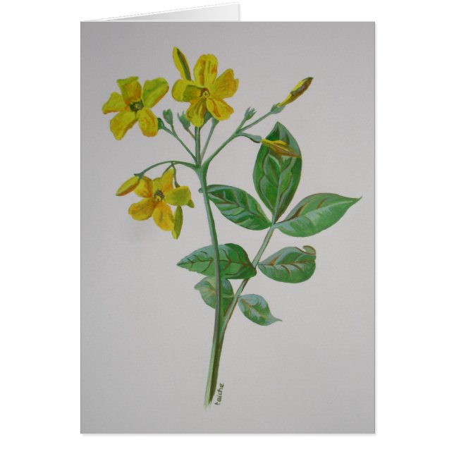 カロライナ・ジャスミン植物芸術 (正面)