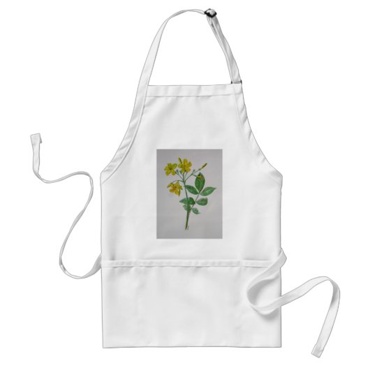 カロライナ・ジャスミン植物芸術 スタンダードエプロン (正面)