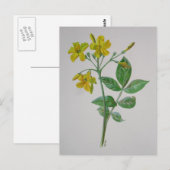 カロライナ・ジャスミン植物芸術 ポストカード (正面/裏面)