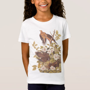 カロライナ・タートル鳩ガールのTシャツ Tシャツ