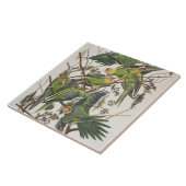 カロライナ・パレーケット、『アメリカの鳥』、1829年 タイル (側面)
