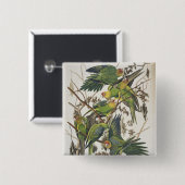 カロライナ・パレーケット、『アメリカの鳥』、1829年 缶バッジ (正面&裏面)