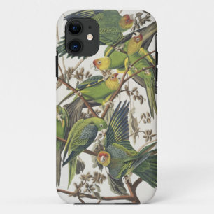 カロライナ・パレーケット、『アメリカの鳥』、1829年 iPhone 11 ケース