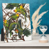 カロライナ・パロット – ジョン・ジェームズ・アウドゥボン（1827年～1838年） フォトプラーク (側面)