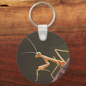 カロライナ・マンティス キーホルダー (正面)