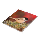 カロライナ《鳥》アメリカゴガラインブルーアトラスシダー タイル (側面)