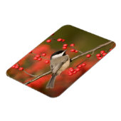 カロライナ《鳥》アメリカゴガラオンコモンWinterberryブッシュ マグネット (左側)