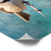 カロライナ《鳥》アメリカゴガラポスター ポスター (角)