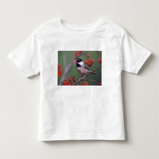 カロライナ《鳥》アメリカゴガラ トドラーTシャツ (正面)