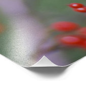 カロライナ《鳥》アメリカゴガラ フォトプリント            (角)