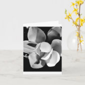 カロライナMagnolia – 折り空白の畳みカード カード (黄色い花)