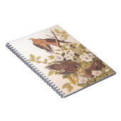 カロリーハトまたはハト ノートブック (右側)