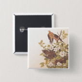 カロリーハトまたはハト 缶バッジ (正面&裏面)