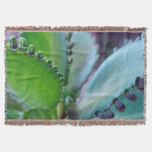 カロンコーの色 スローブランケット (正面)