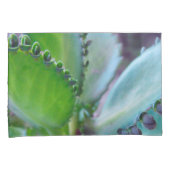 カロンコーの色 枕カバー (正面右)