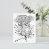 カロ・ザ・カートン ポストカード (スタンド正面)