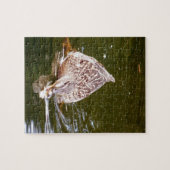 カワイアヒル食べ物を与えズ ジグソーパズル (横)