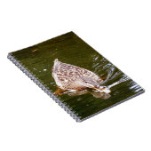 カワイアヒル食べ物を与えズ ノートブック (右側)