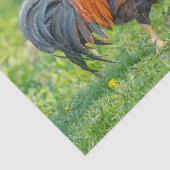 カワイアンドファームホームステカラフルッドルースター 薄葉紙 (詳細)