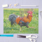 カワイアンドファームホームステカラフルッドルースター 薄葉紙 (クラフト)