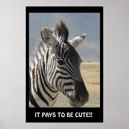 カワイイって割り当てる！ ポスター (正面)