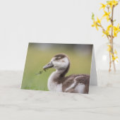 カワイイガチョウの女の子の自然写真 カード (黄色い花)