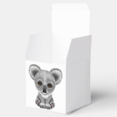 カワイイベビーコアラベアークブ フェイバーボックス (オープン)