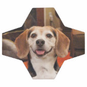 カワイイペット写真モダンカスタム サッカーボール (フラット)